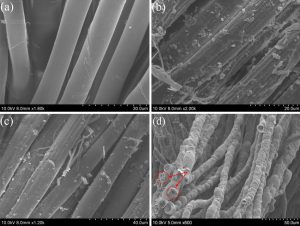Anti-fibrillation & anti-bacteria lyocell f...