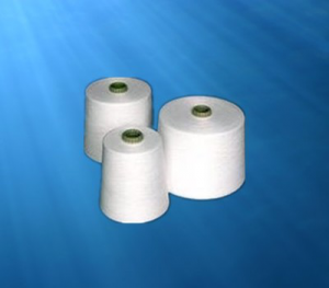 BIOMASS FIBER BLENDED ANTIBACTERIAL YARN