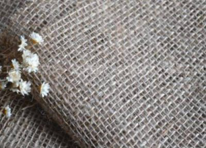 APOCYNUM VENETUM FIBER BLENDED YARN