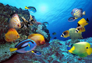 RECYCLED CHEMICAL FIBER